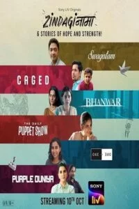 Download Zindaginama 2024 Season 1 Hindi Complete Sony LIV Original WEB Series 480p  720p  1080p